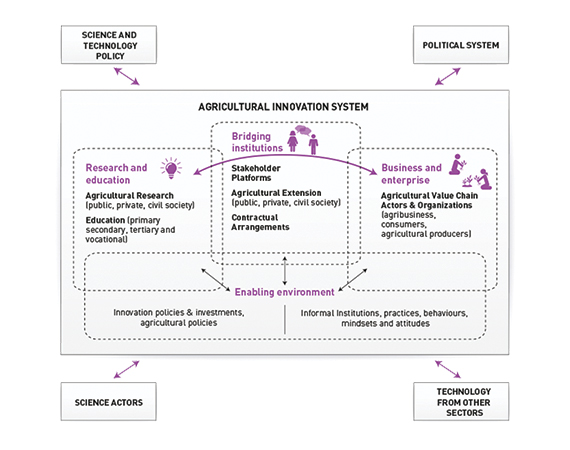 Conceptual Diagram of an Agricultural Innovation Systems