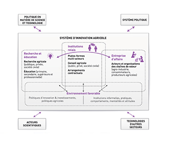 Diagramme Conceptuel d’un Système d’Innovation Agricole