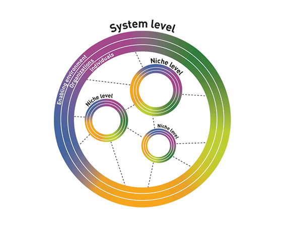 Dual Pathway Approach