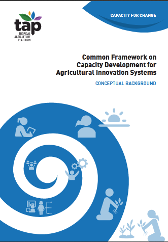 The 3 dimensions of Capacity Development